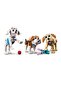 31137 Adorable Dogs - 4