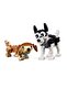 31137 Adorable Dogs - 5