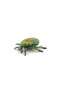 CARABUS FIGURINE - 2