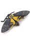 MOTH FIGURINE - 2