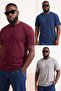 Burgundy-Navy Blue -Gray Regular/Comfort Fit 3-Pack Large Size T-Shirt Tmnss24Bf00059
