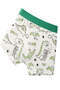 Boys Cotton Cute Dinosaur Boxer Pack of 4 - 5
