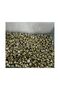 Metallic Gold Letter Beads Gold Flat Round Letter Beads Name Beads 25 Grams (170-180 Pieces) Jewelry Beads - 3