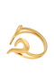 Ring - 2