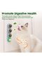 4 Catnip Silvervine Ball Toys - 3