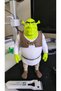 Shrek Yeşil Dev Figür – Masaüstü Dekor - 6