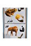 لغز عربي للأطفال - 2