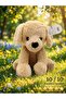 Puppy Dog Plush Toy 30 cm - 2