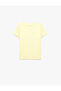 Cotton Crew Neck Cat Printed Short Sleeve T-Shirt - 5