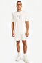 Men's Combed Cotton Shorts F9793Ax/Bg662 Stone