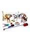 31137 Adorable Dogs - 3
