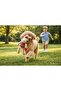 Plush Squeaky Monkey Dog Toy - 5