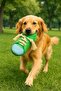 Dog Chew Rope Shoe Toy - 6