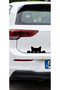 Koç Stüdyo Cat Looking Out from the Trunk Auto Sticker