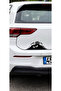 Koç Stüdyo Eye Looking Out from the Trunk Auto Sticker