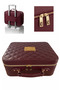 Genuine Leather Makeup Bag with 3 Led Lights and Mirror - Shockproof Luxury Organizer with Adjustable Compartments - Burgundy - 8