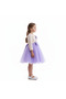 D' Daniela - Purple Rose Party Dress - 4
