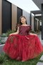 Girl's malibu style tulle and lace princess birthday dress - 6