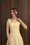 Square Collar Side Zipper Detailed Princess Dress Yellow - 4