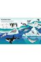 First Sticker Book Oceans - 5