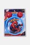 Spider-Man Catch Ball Set