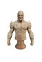 Bust 3d Nova Marvel Comics 19 cm