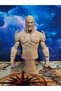 Bust 3d Nova Marvel Comics 19 cm - 2