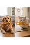 Squeaky Rubber Chicken Toy for Cats and Dogs - 2