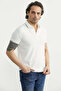 Regular Fit Polo Neck T-Shirt - White - 2