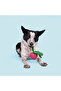 Turnt Turp Dog Toy - 3