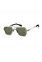 Martin Gld660 49 Sunglasses