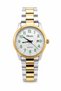 Steel Band Men's Wristwatch, Waterproof, Gold and Silver Color Numerals, Classic Men's Wristwatch - 2