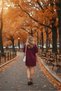 Women's Short Sleeve Crew Neck T-Shirt Dress Nightgown - 3