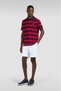 Men's Regular Cut Striped Logo Embroidered Cotton Short Sleeve Navy Blue-Red Polo Collar T-Shirt - 2