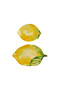 Limora Melamine 2-Piece Lemon Shaped Serving Bowl