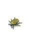 CARABUS FIGURINE - 4