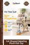 Special Edition Interactive 360 Rotating Adhesive Educational Cat-Shaped Rotating Plush Fish Fishing Rod Toy