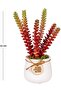Succulent Arrangement in Ceramic White Flowerpot Red 14X22 Cm. - 4