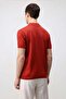 Red Comfort Slim Polo Collar Men's Knitwear T-Shirt - 5
