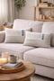 Double Sided Rectangular Throw Pillow Cover 2-Piece DS11