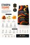 5-Pack World Coffees Bean Filter&Espresso -Peru-Colombia-Ethopia-Guatemala-Espresso Blend 1250g - 8