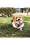 Urban Style Jazz Bandana Dog Collar Small 15-33 cm - 2