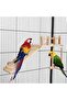 Wooden Bird Perches,Platform Swing,Climbing Ladder,Sturdy Exercise Toy for Small Birds