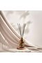 Air Spice Burgundy Club Reed Diffuser 100ml- Burgundy - 2