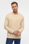 Bej Regular Bisiklet Yaka Sweatshirt - 2
