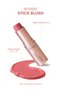 Intense Cream Allik Stick Blush No:04 Papaya Crush - 2