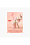 Crystal Glaze Lip Care - 3