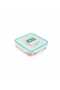 Plastic Container