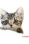 Velcro Hook Patches, Tacti-Cool ANIMALS Collection, Cat Harness