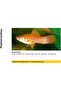 Mycopur - 50ml - Fish Aquarium - 3